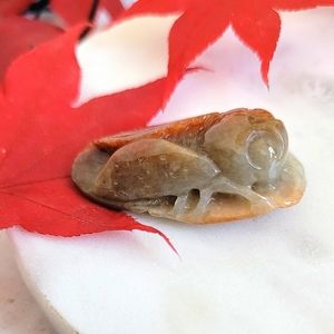 Cicada Brown White Certified 100% Genuine Jadeite Nwt